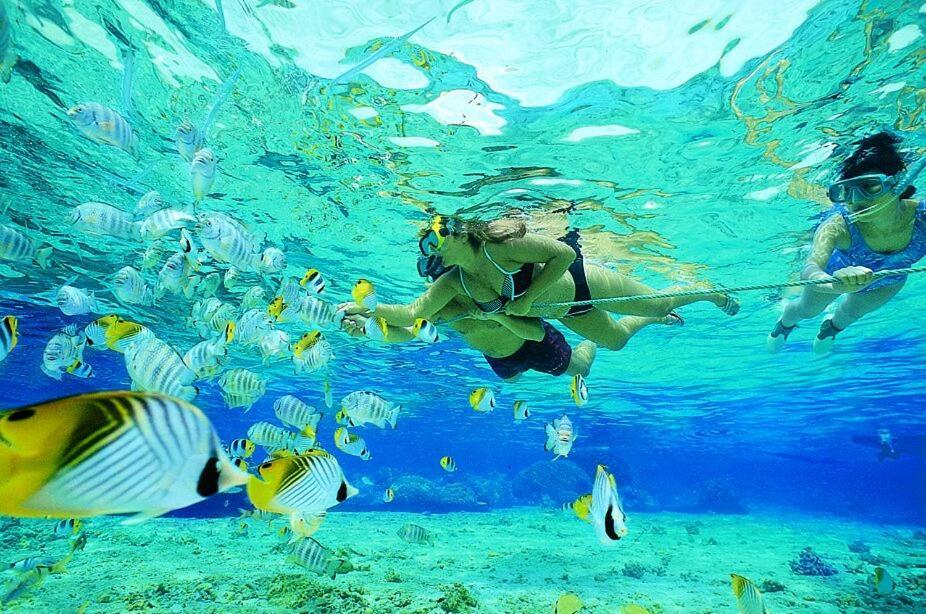 شقة ليتل إيدن سانت لوسيا Saint Lucia Estuary المظهر الخارجي الصورة
