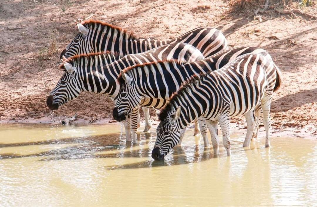 شقة ليتل إيدن سانت لوسيا Saint Lucia Estuary المظهر الخارجي الصورة
